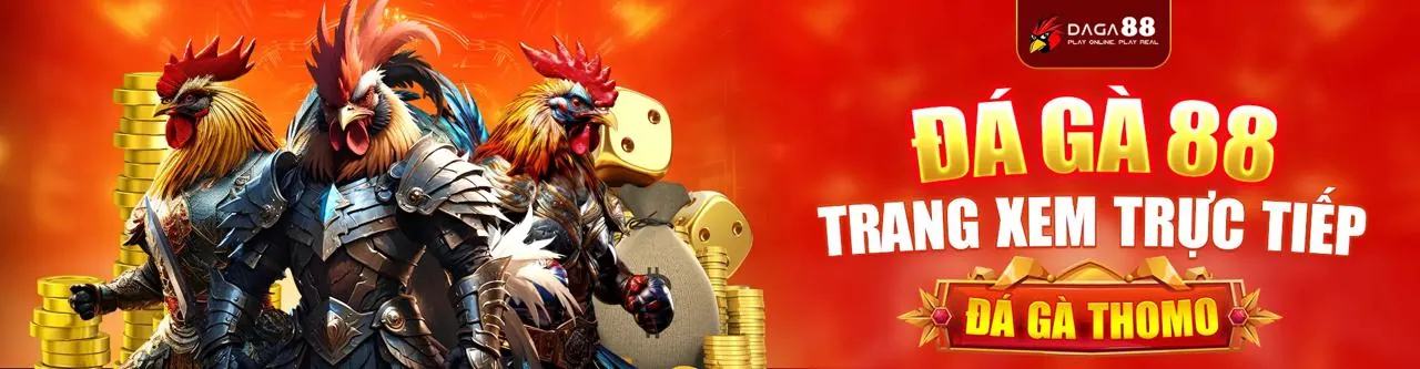 Đá Gà Trực Tiếp Hấp Dẫn tại Kuwin